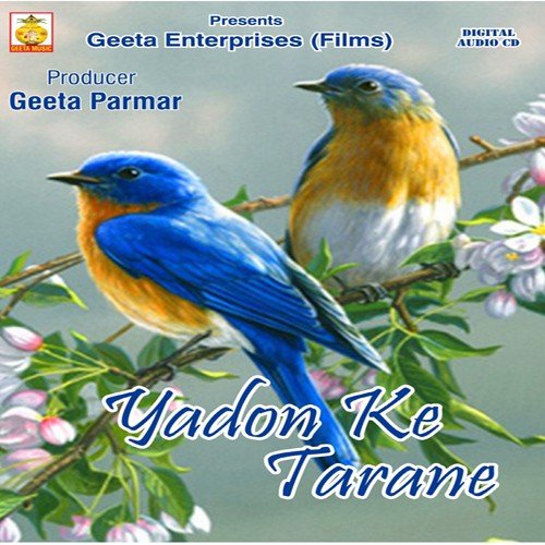 Yadon Ke Tarane Nitesh Raj MP3 Download